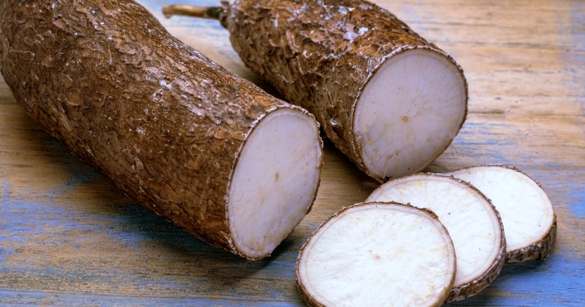 3. Yuca (Bukan Yucca)
