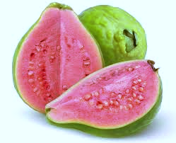 jambu biji