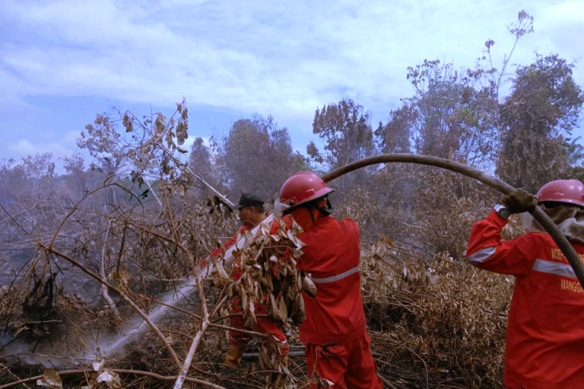 Controlled forest and land fires