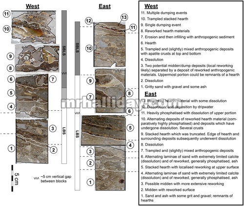 Mikrostratigrafi interpretatif dari profil barat (sampel 302 dan 301) dan timur (sampel 304 dan 303)